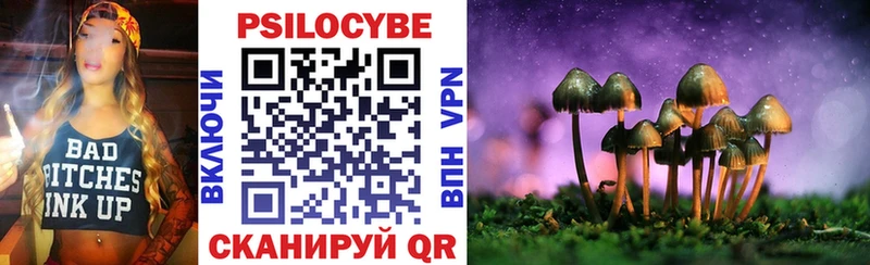 мориарти какой сайт  Богданович  Галлюциногенные грибы Cubensis  купить наркотик 