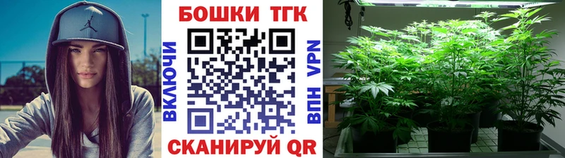 Бошки Шишки тримм  Богданович 